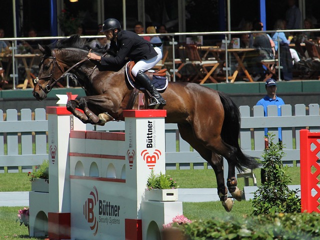 正是因为引 正是因为引