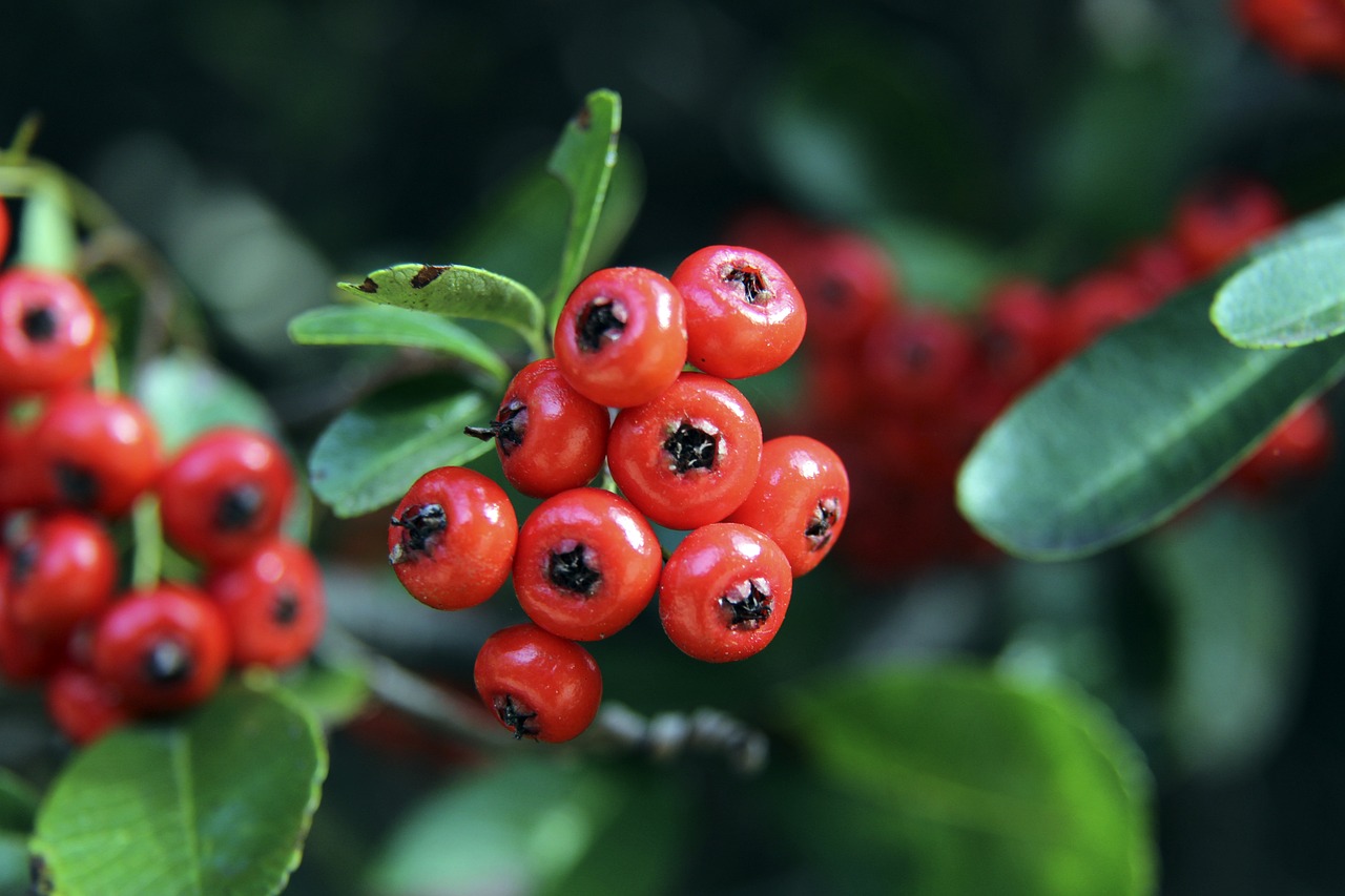 的正式开工 的正式开工